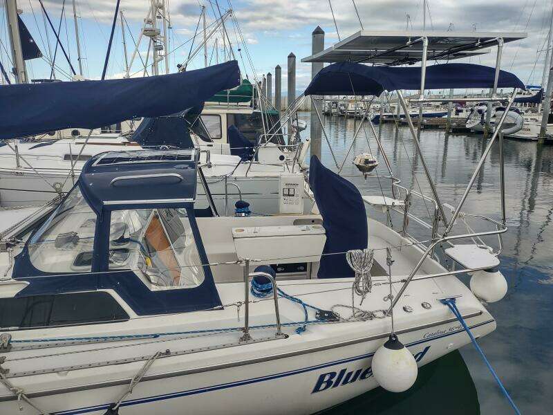 BLUEBIRD 36ft Catalina Yacht For Sale