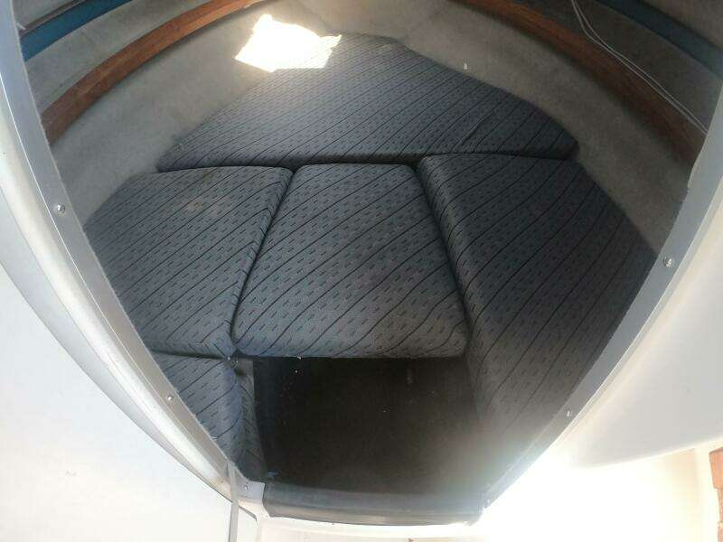 Ted S Toy 21ft Bayliner Yacht For Sale