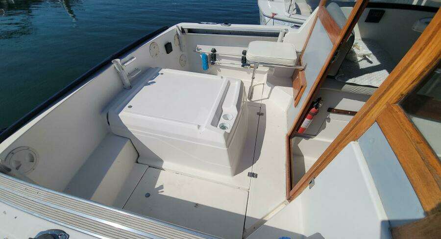 Ted S Toy 21ft Bayliner Yacht For Sale