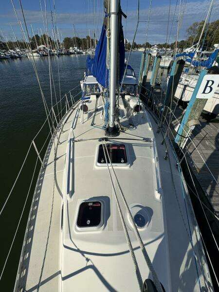 Deck view