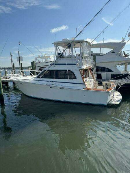 Monkey Business 37ft Egg Harbor Yacht For Sale