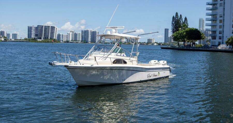 Reel Peace 28ft Grady White Yacht For Sale