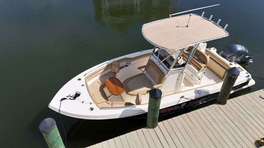 Here s Johnny  21ft Scout Yacht For Sale
