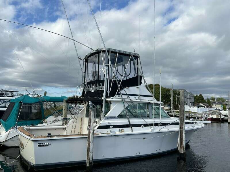 35ft Bertram Yacht For Sale