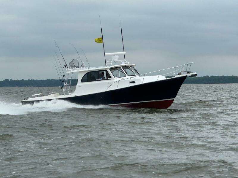 Ronny Anne 36ft Judge Yacht For Sale
