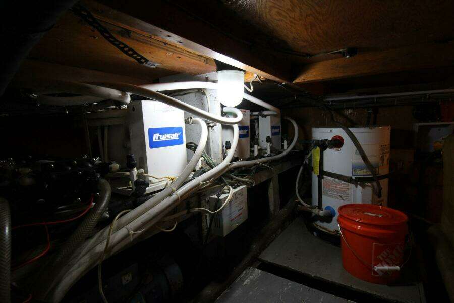 Forever and Always 42ft Bertram Yacht For Sale