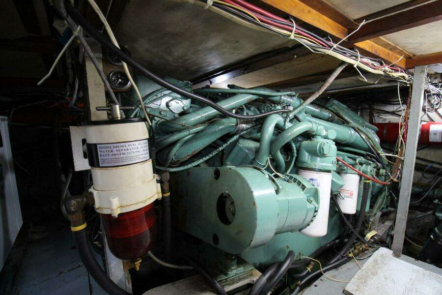 Forever and Always 42ft Bertram Yacht For Sale