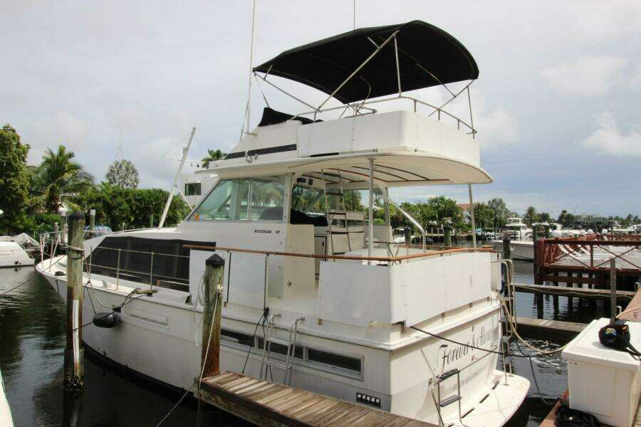 Forever and Always 42ft Bertram Yacht For Sale