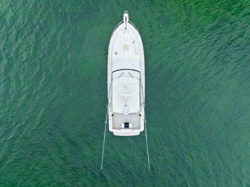 Mr  Bond 39ft Bertram Yacht For Sale