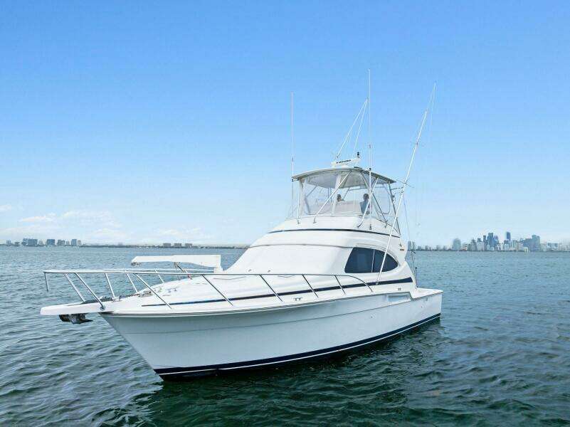 Mr  Bond 39ft Bertram Yacht For Sale