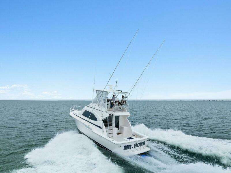 Mr  Bond 39ft Bertram Yacht For Sale