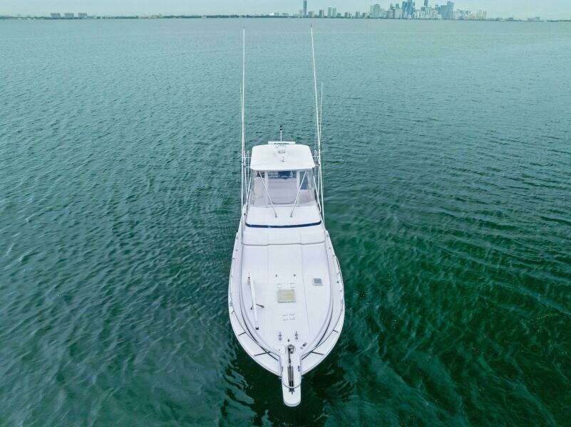 Mr  Bond 39ft Bertram Yacht For Sale