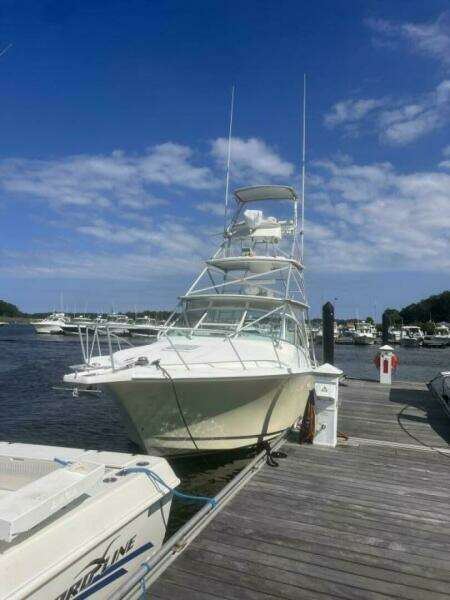 Dockside Bow View