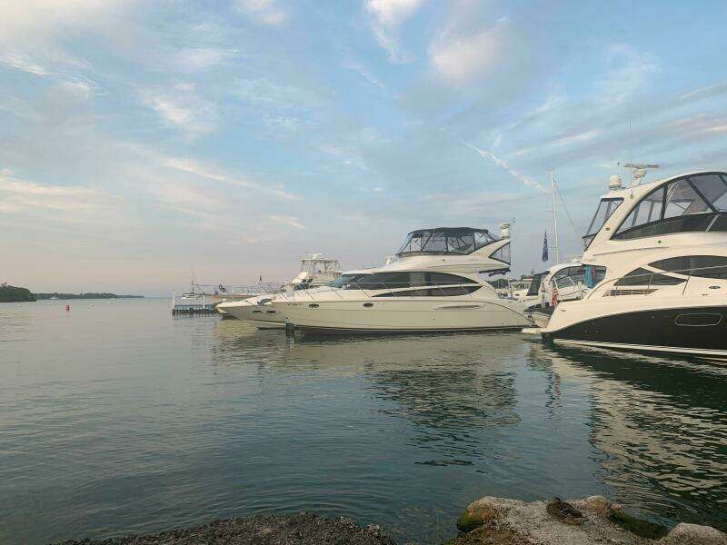 39ft Meridian Yacht For Sale