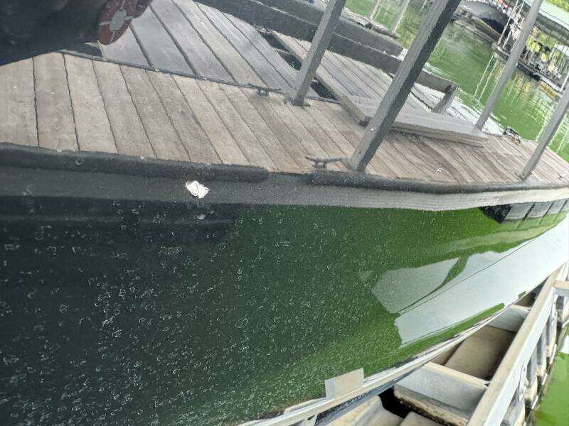 25ft Yamaha Boats Yacht For Sale