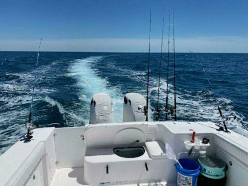 33ft Pro Line Yacht For Sale