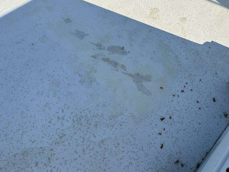 Summer Breeze 37ft Gibson Yacht For Sale Summer Breeze 37ft Gibson Yacht For Sale