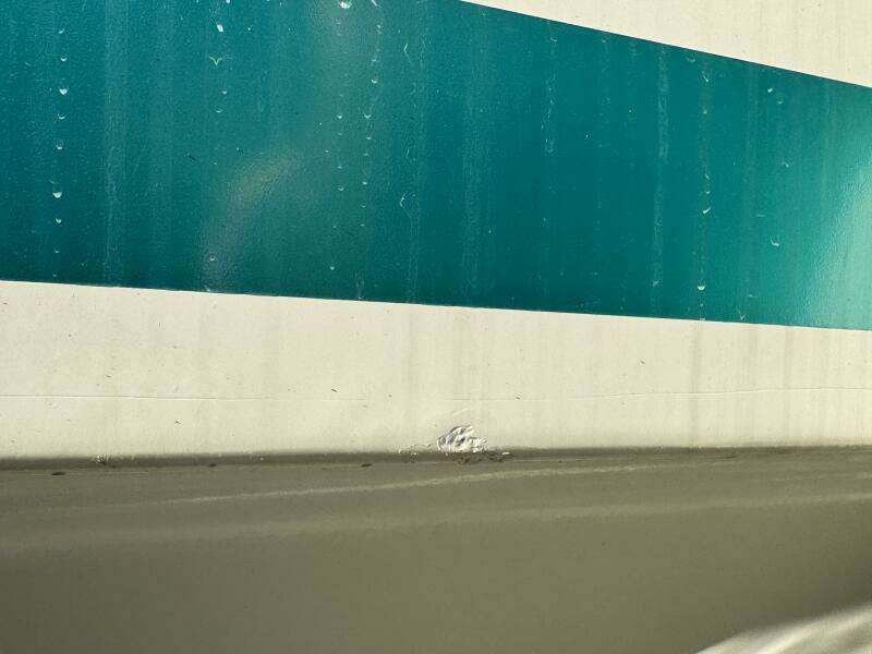 Summer Breeze 37ft Gibson Yacht For Sale Summer Breeze 37ft Gibson Yacht For Sale