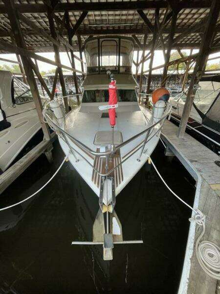 35ft Sea Ray Yacht For Sale