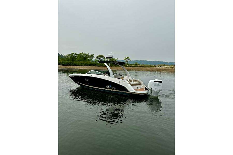 Special Delivery 27ft Four Winns Yacht For Sale