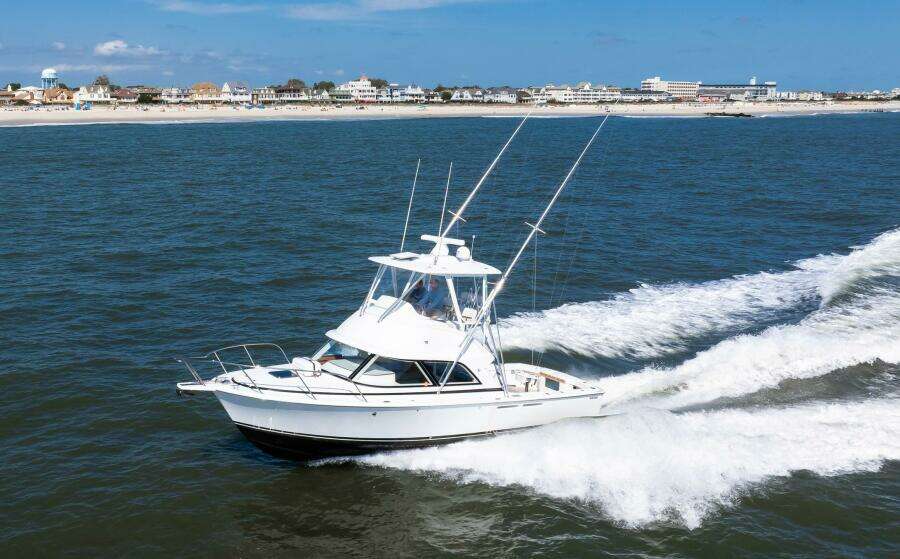 One More 35ft Bertram Yacht For Sale