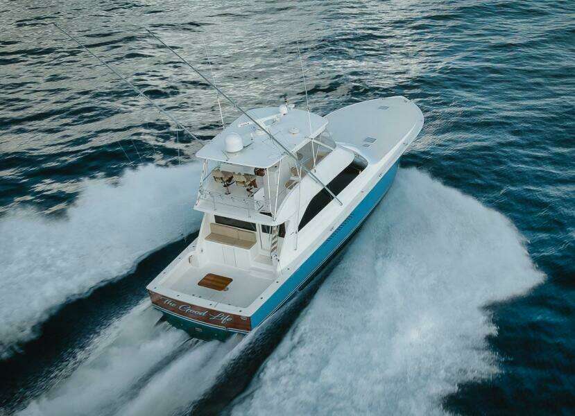 61 Viking The Good Life- Profile  61 Viking The Good Life- Profile