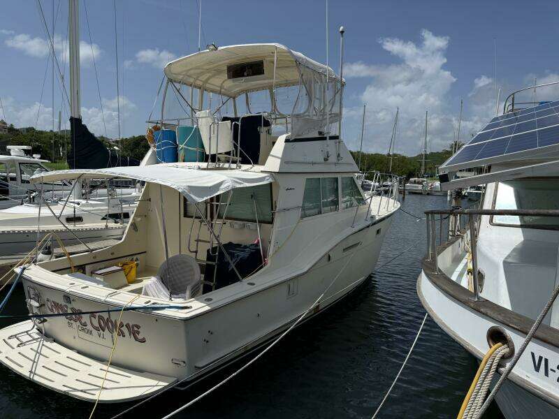 Chinese Cookie 37ft Hatteras Yacht For Sale