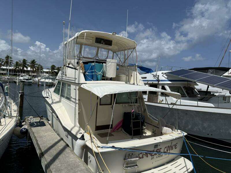 Chinese Cookie 37ft Hatteras Yacht For Sale