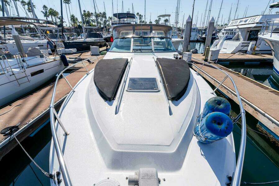 Sea Oddity 33ft Sea Ray Yacht For Sale