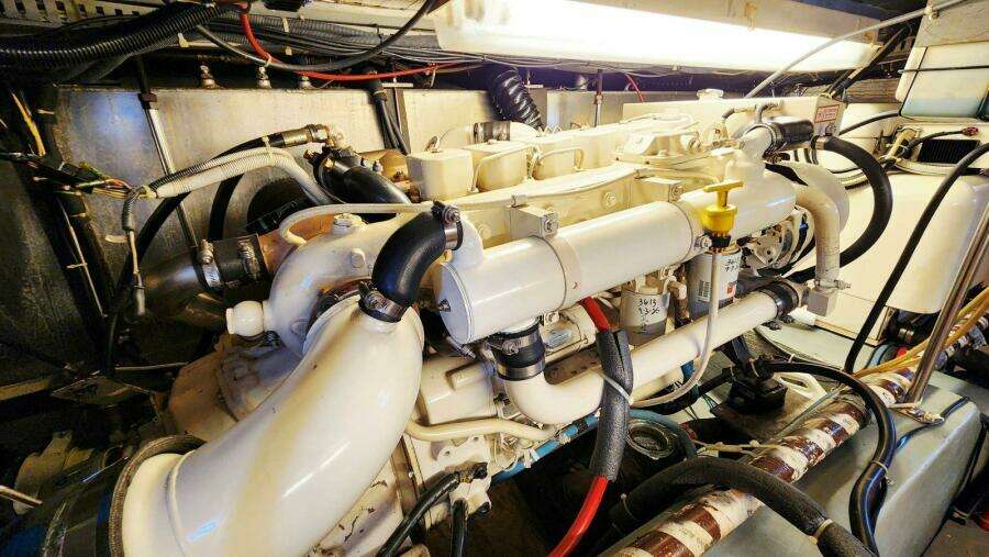 Now or Never 44ft Carver Yacht For Sale
