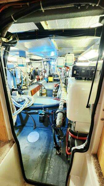Now or Never 44ft Carver Yacht For Sale