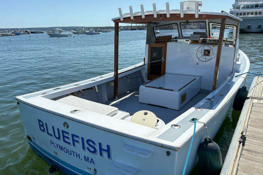 Bluefish 26ft SISU Yacht For Sale