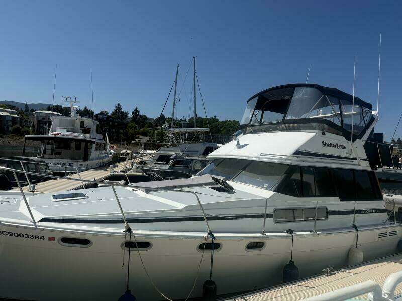 Shelter Belle 38ft Bayliner Yacht For Sale