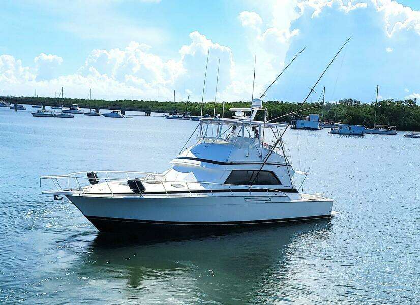 Trophy Hunter 50ft Bertram Yacht For Sale
