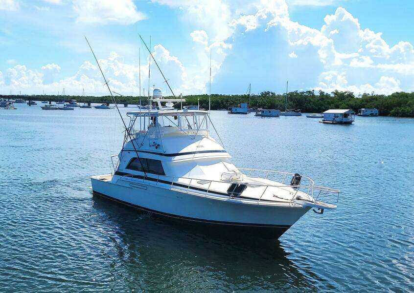 Trophy Hunter 50ft Bertram Yacht For Sale
