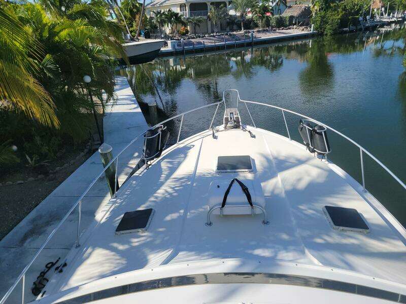 Trophy Hunter 50ft Bertram Yacht For Sale