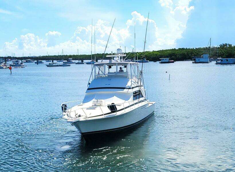 Trophy Hunter 50ft Bertram Yacht For Sale