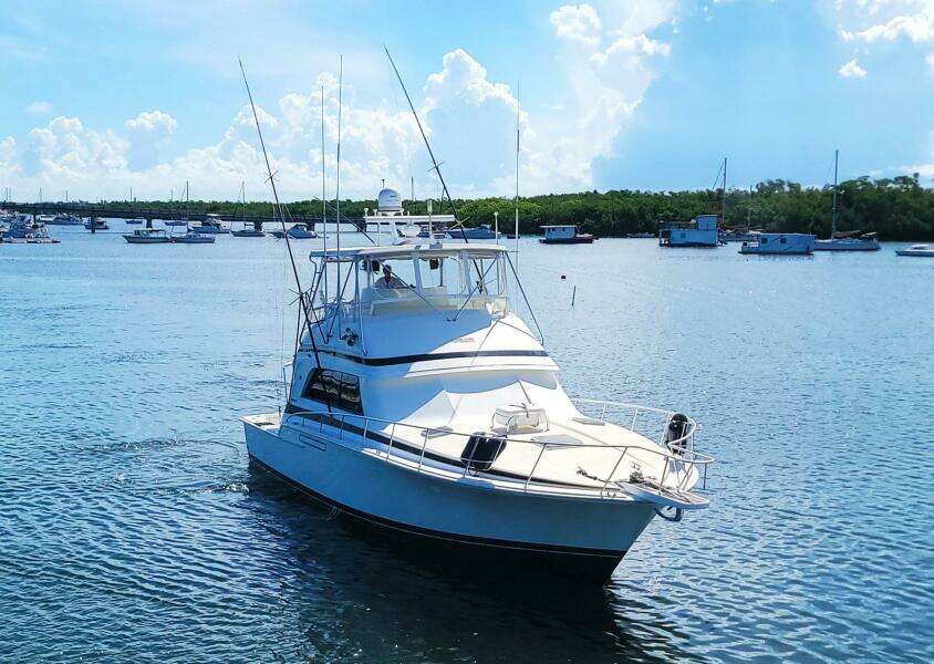 Trophy Hunter 50ft Bertram Yacht For Sale