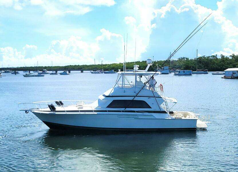 Trophy Hunter 50ft Bertram Yacht For Sale