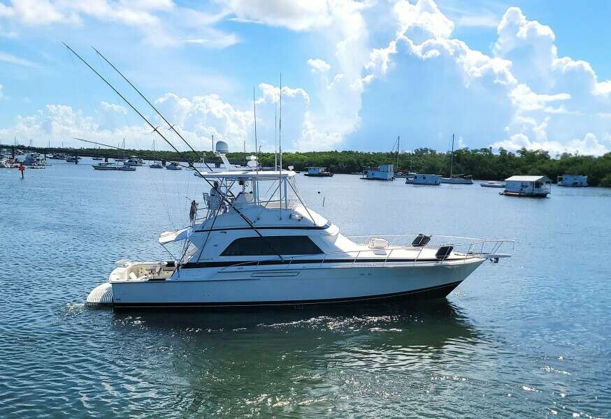 Trophy Hunter 50ft Bertram Yacht For Sale