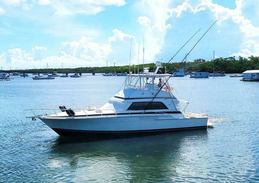 Trophy Hunter 50ft Bertram Yacht For Sale