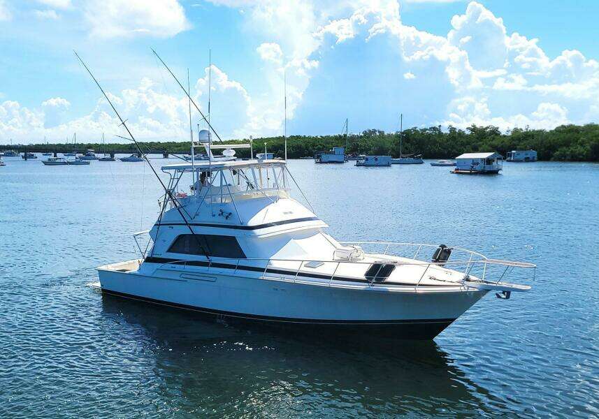 Trophy Hunter 50ft Bertram Yacht For Sale