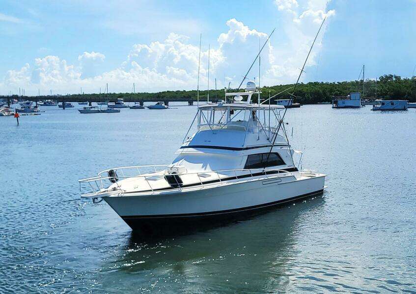 Trophy Hunter 50ft Bertram Yacht For Sale