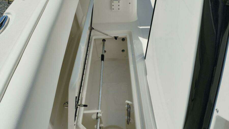 28ft World Cat Yacht For Sale