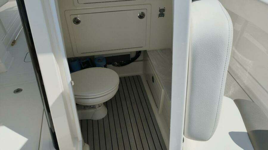 28ft World Cat Yacht For Sale