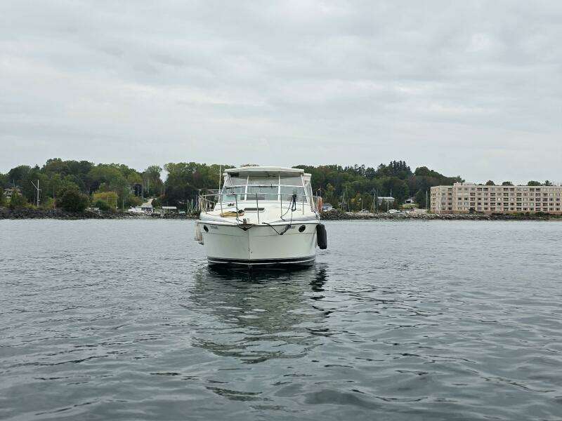 31ft Prowler Yacht For Sale