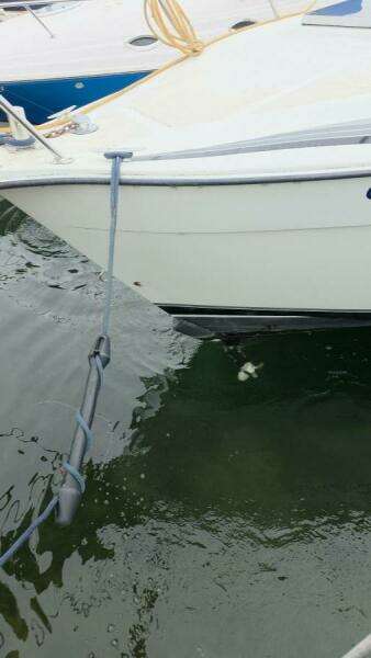 Bow Thruster 