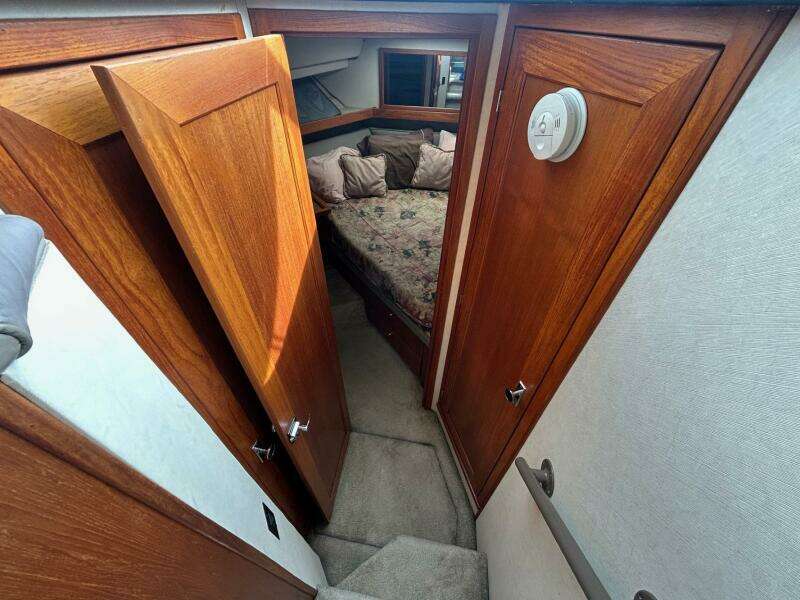 Compromise 35ft Bayliner Yacht For Sale