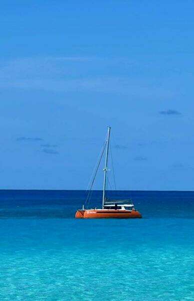 2021-balance-482-sail-9783843-20250507055942529-1_XLARGE.jpg