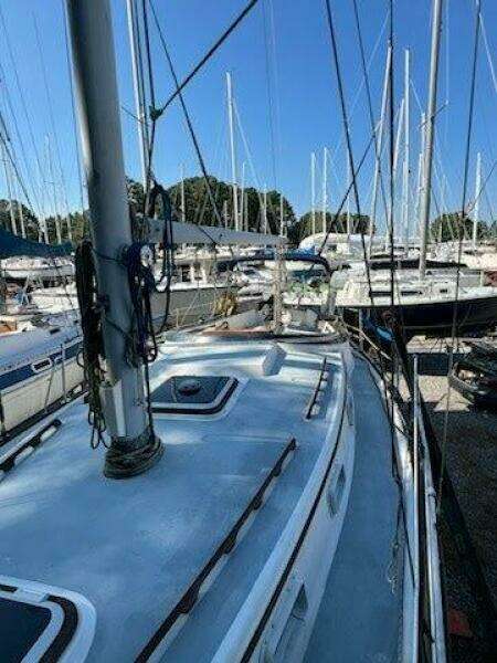 Ella Lin 37ft Endeavour Yacht For Sale